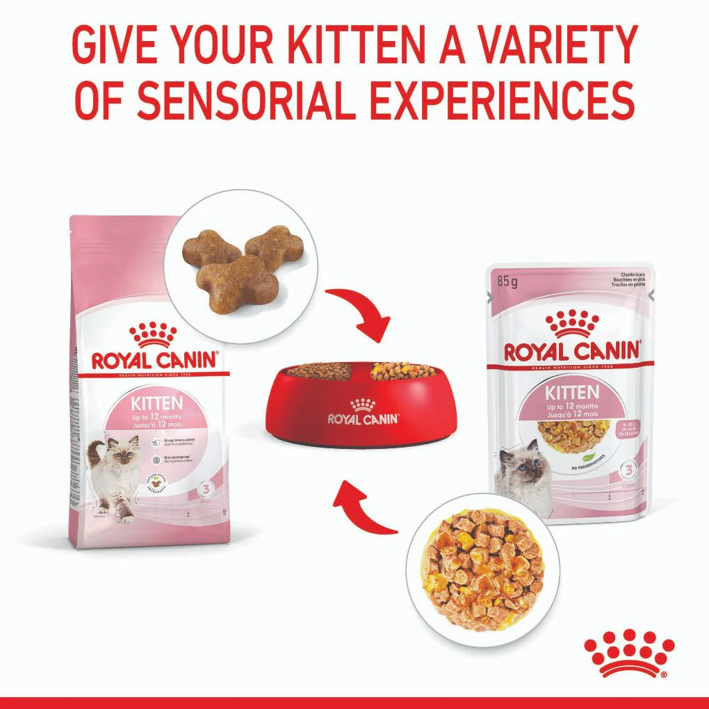 Royal Canin Kitten Jelly Pouches - Image 5