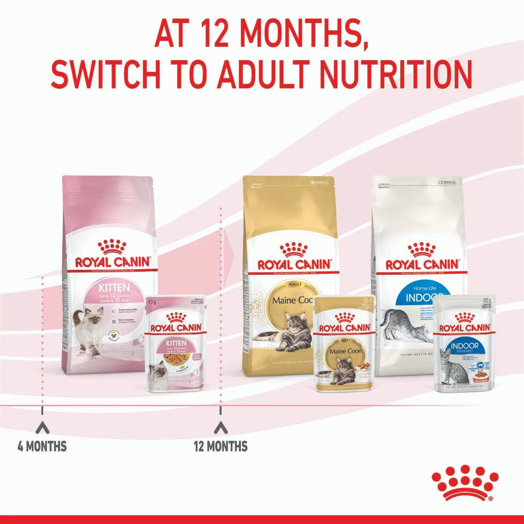 Royal Canin Kitten Jelly Pouches - Image 8