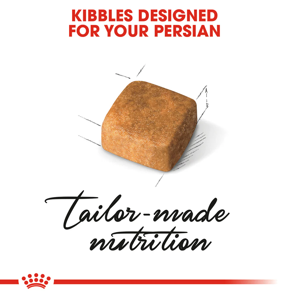 Royal Canin Kitten Persian - Image 3