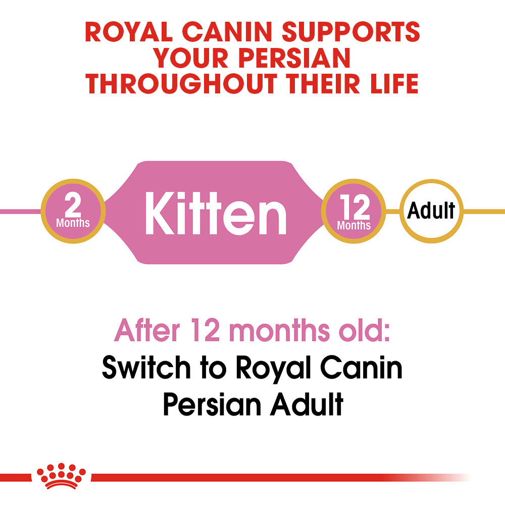 Royal Canin Kitten Persian - Image 4