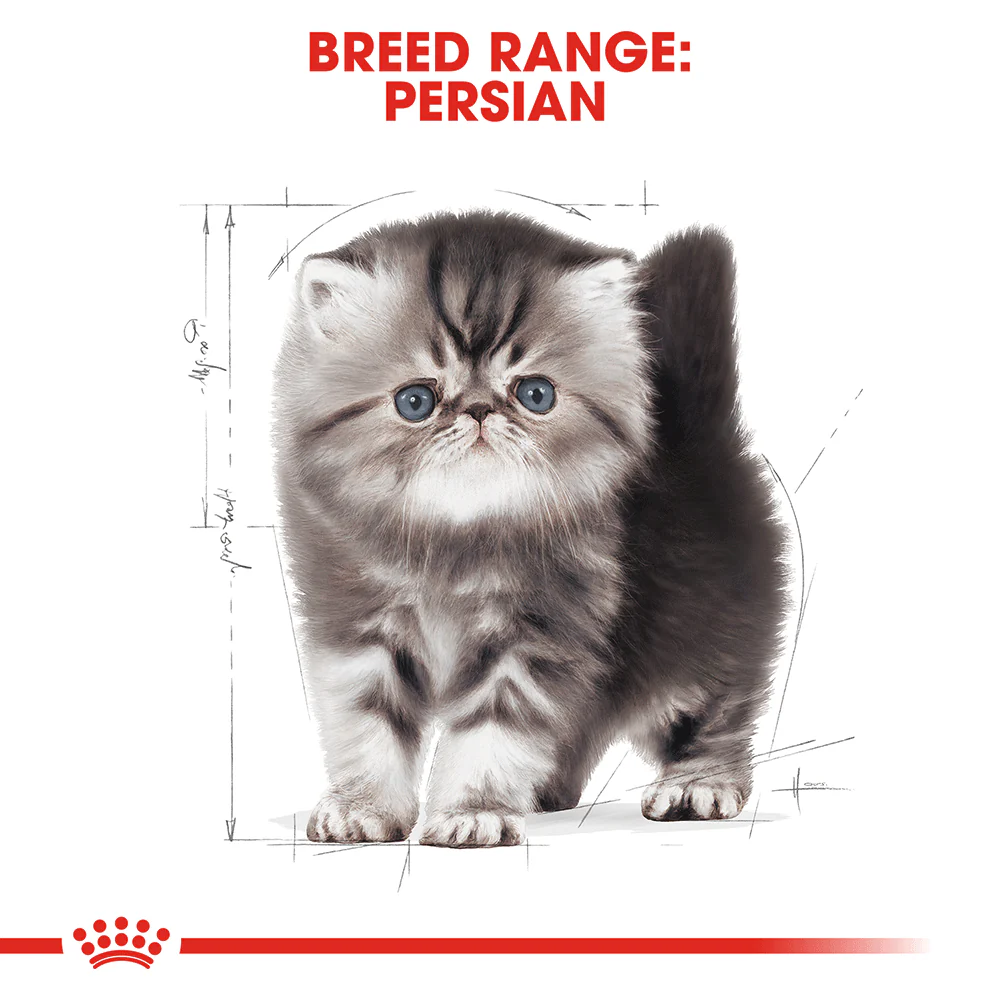 Royal Canin Kitten Persian - Image 7