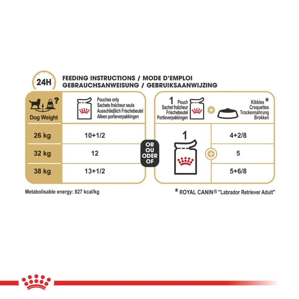 Royal Canin Labrador Pouches - Image 2