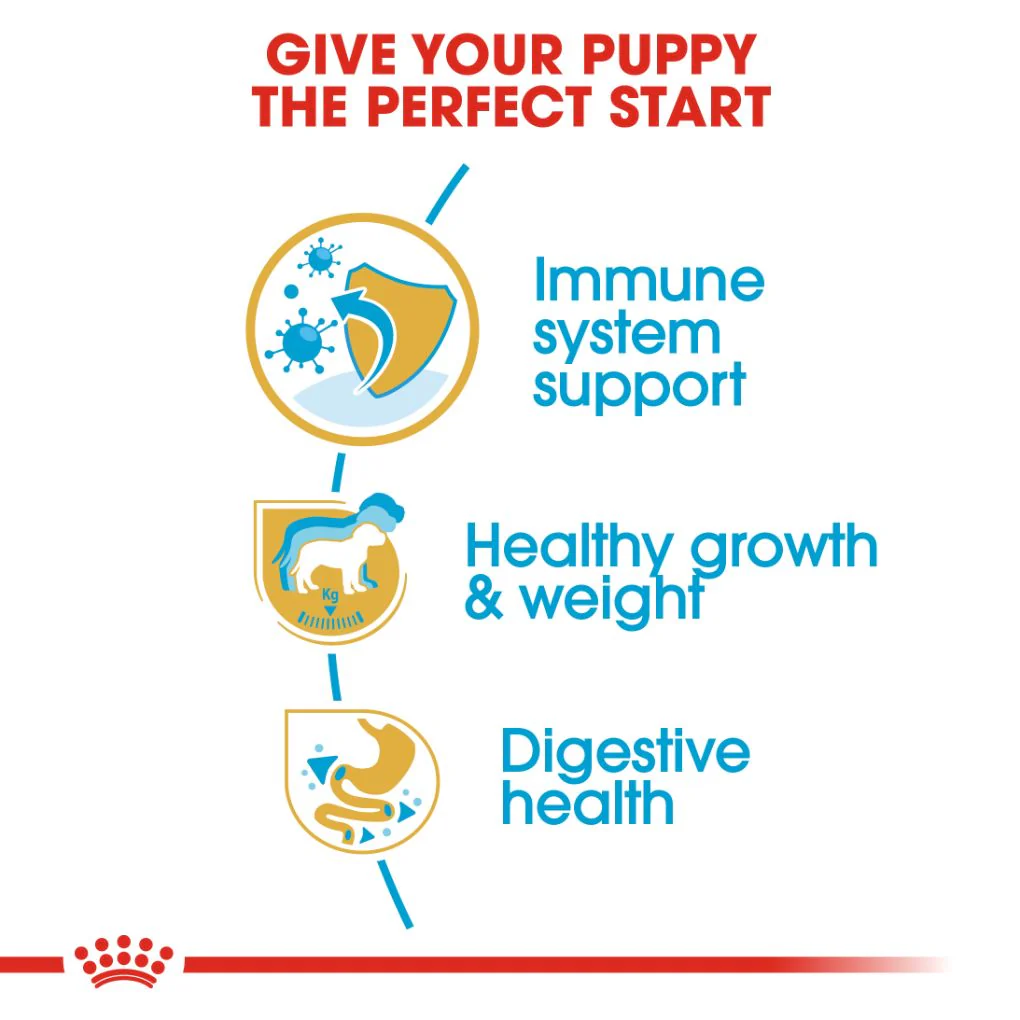 Royal Canin Labrador Puppy - Image 2
