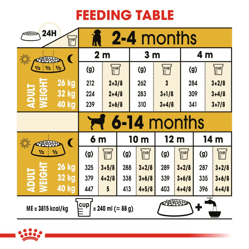 Royal Canin Labrador Puppy - Image 4