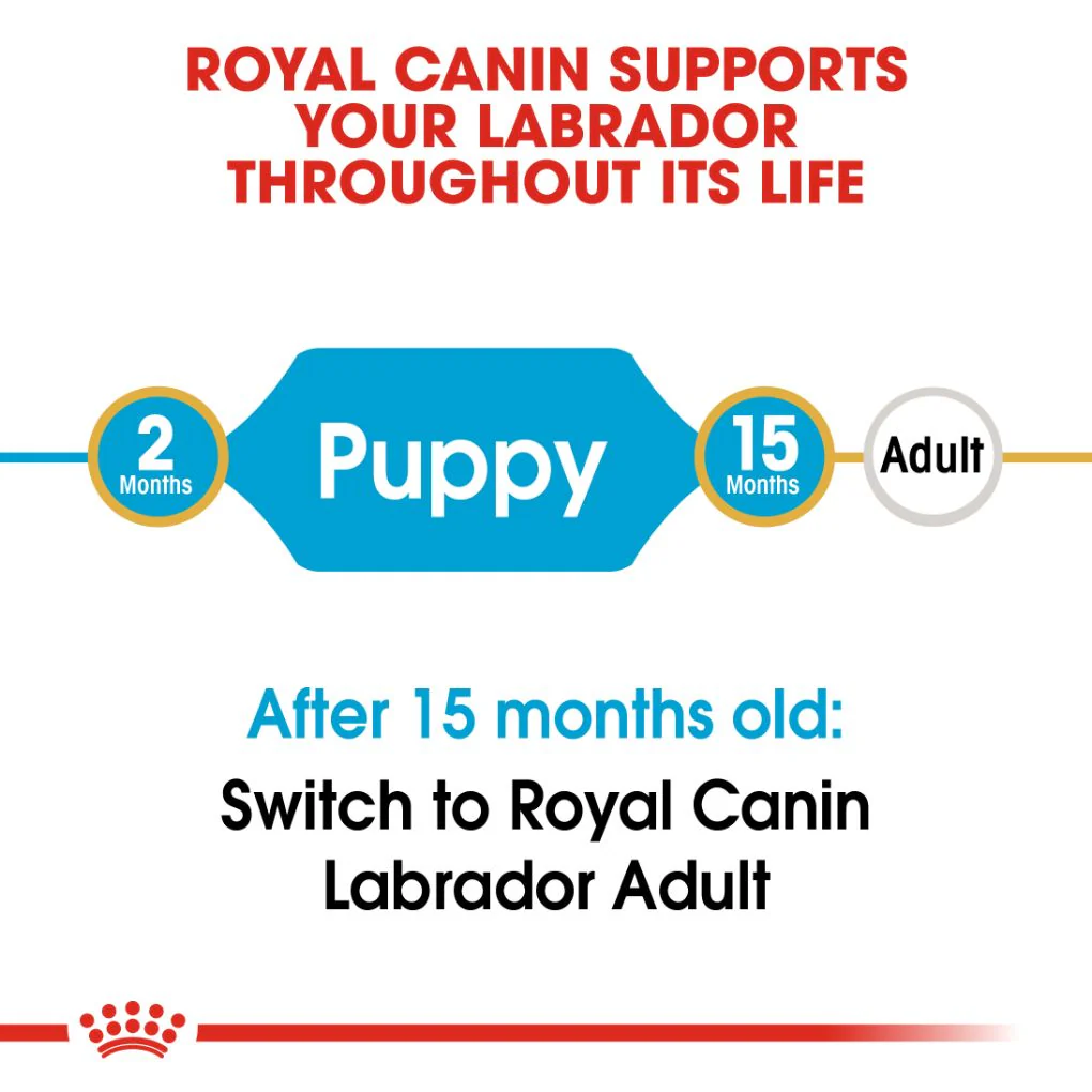 Royal Canin Labrador Puppy - Image 6