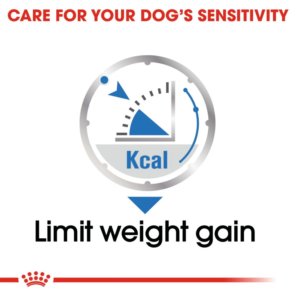 Royal Canin Light Weight Care Loaf Pouches - Image 2