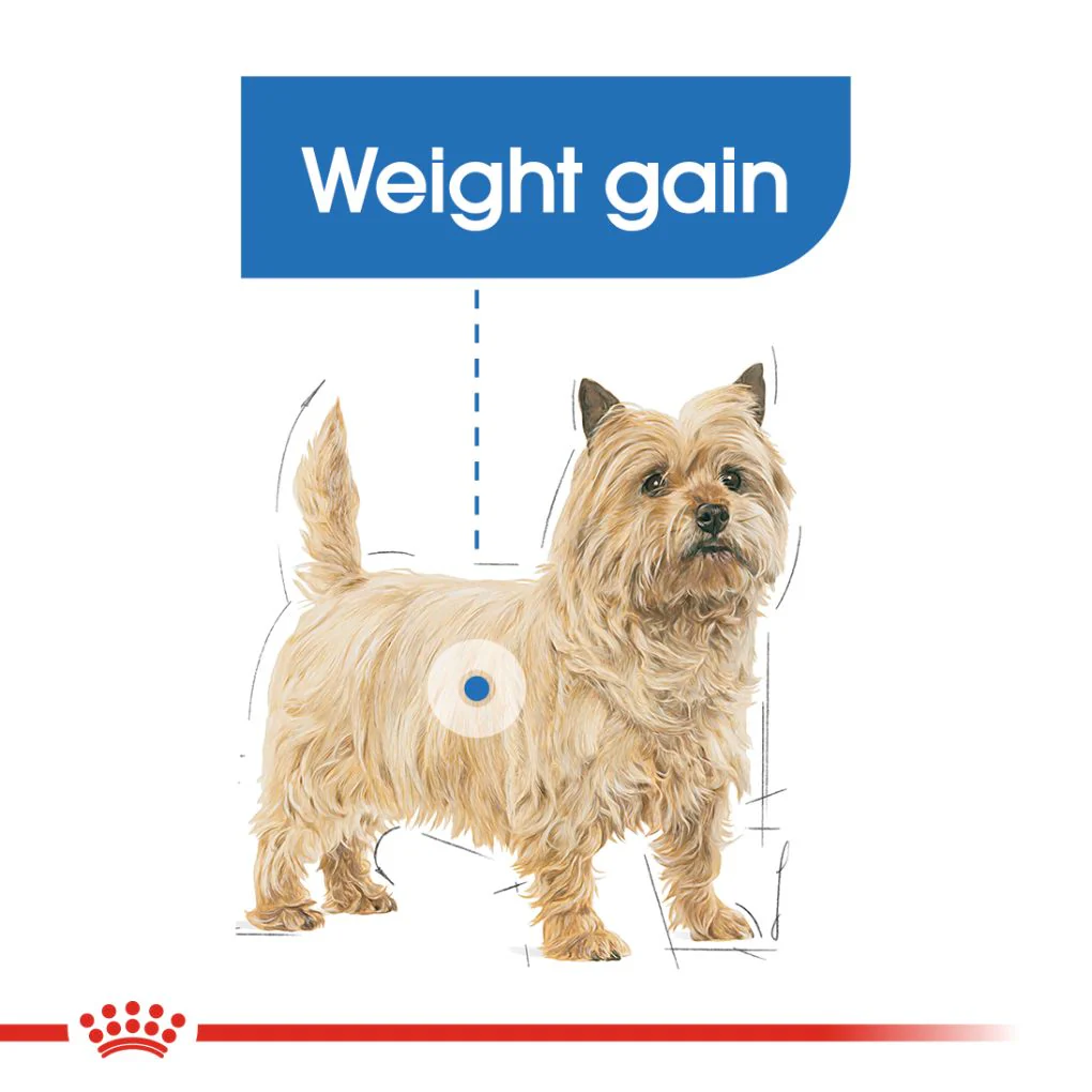 Royal Canin Light Weight Care Loaf Pouches - Image 7