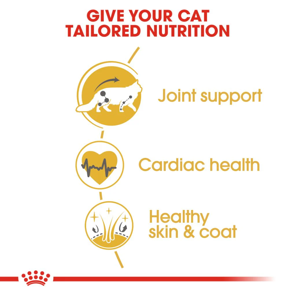 Royal Canin Maine Coon - Image 2
