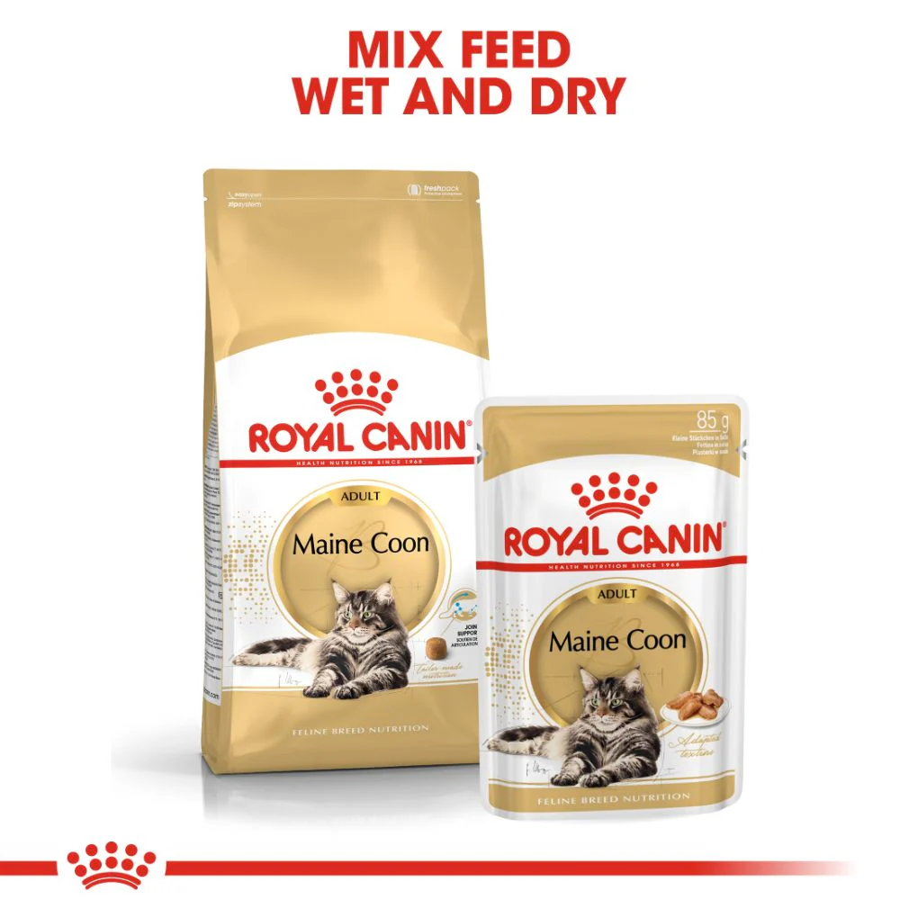 Royal Canin Maine Coon - Image 4