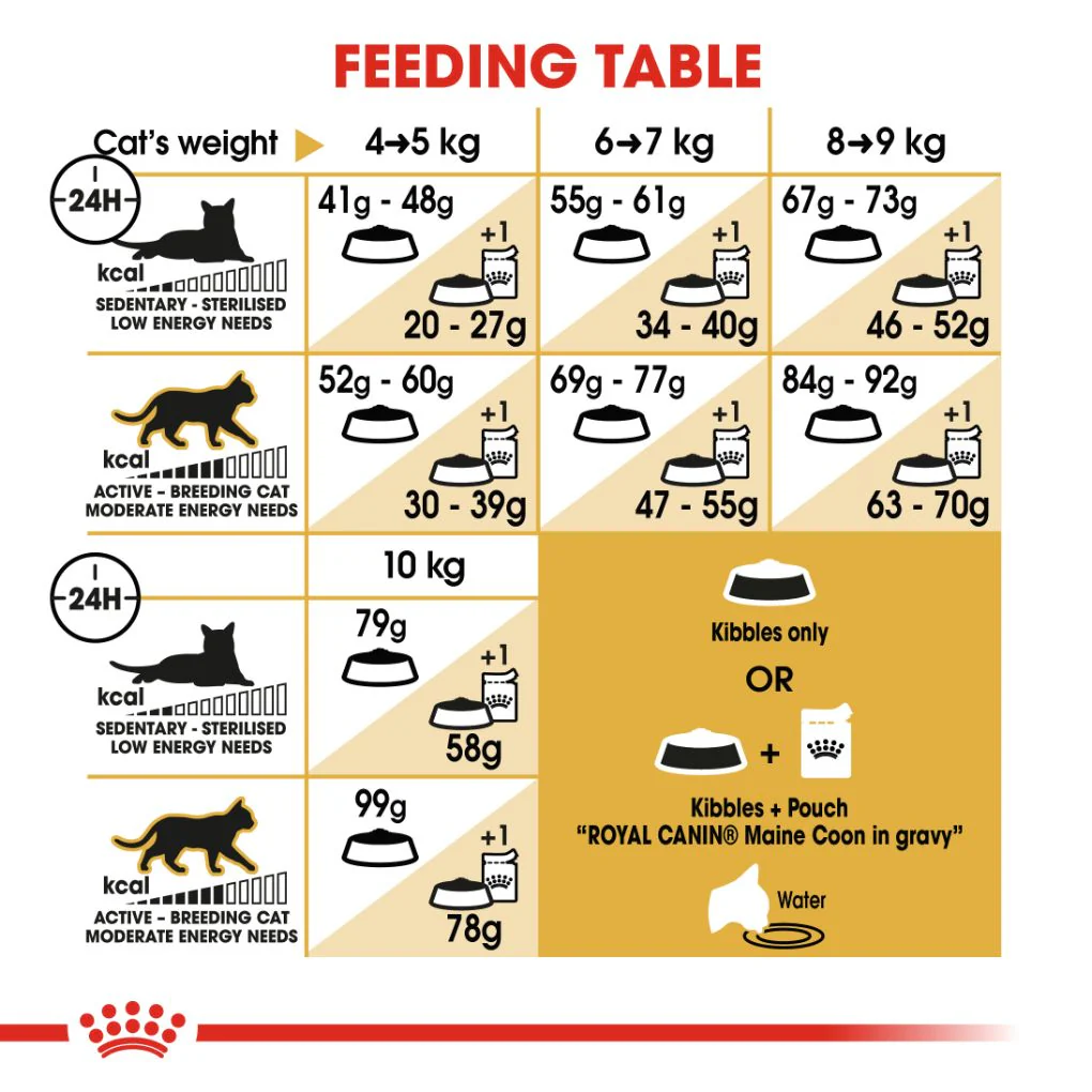 Royal Canin Maine Coon - Image 5