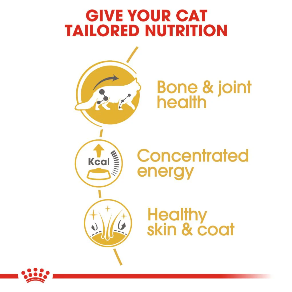 Royal Canin Maine Coon Gravy Pouches - Image 2