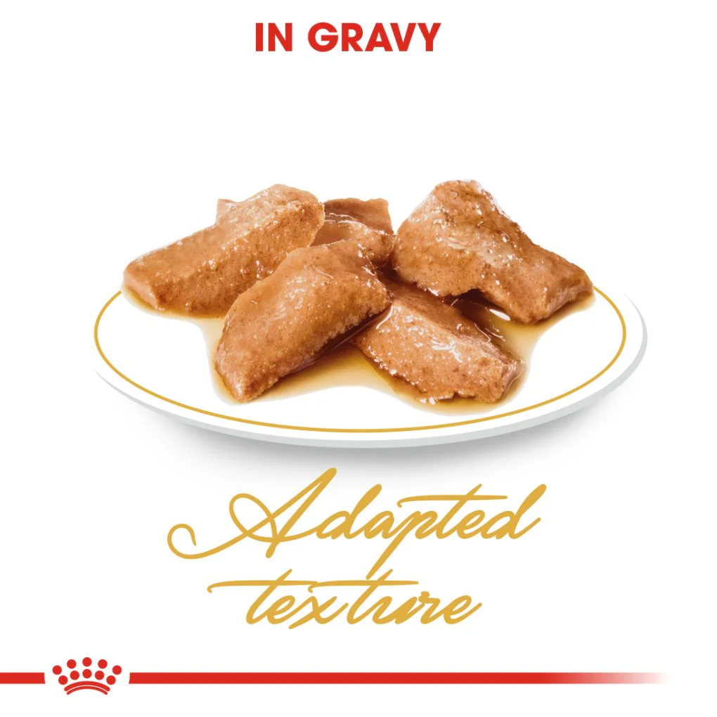 Royal Canin Maine Coon Gravy Pouches - Image 3