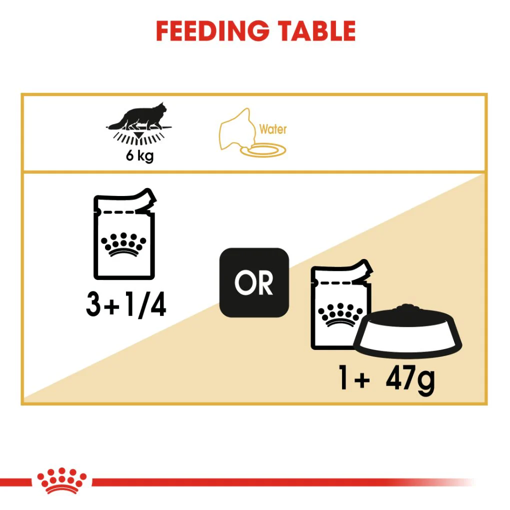 Royal Canin Maine Coon Gravy Pouches - Image 5