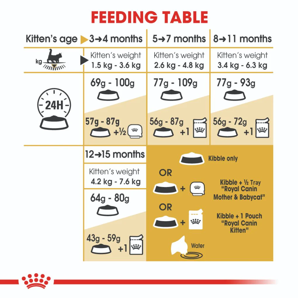 Royal Canin Maine Coon Kitten - Image 6