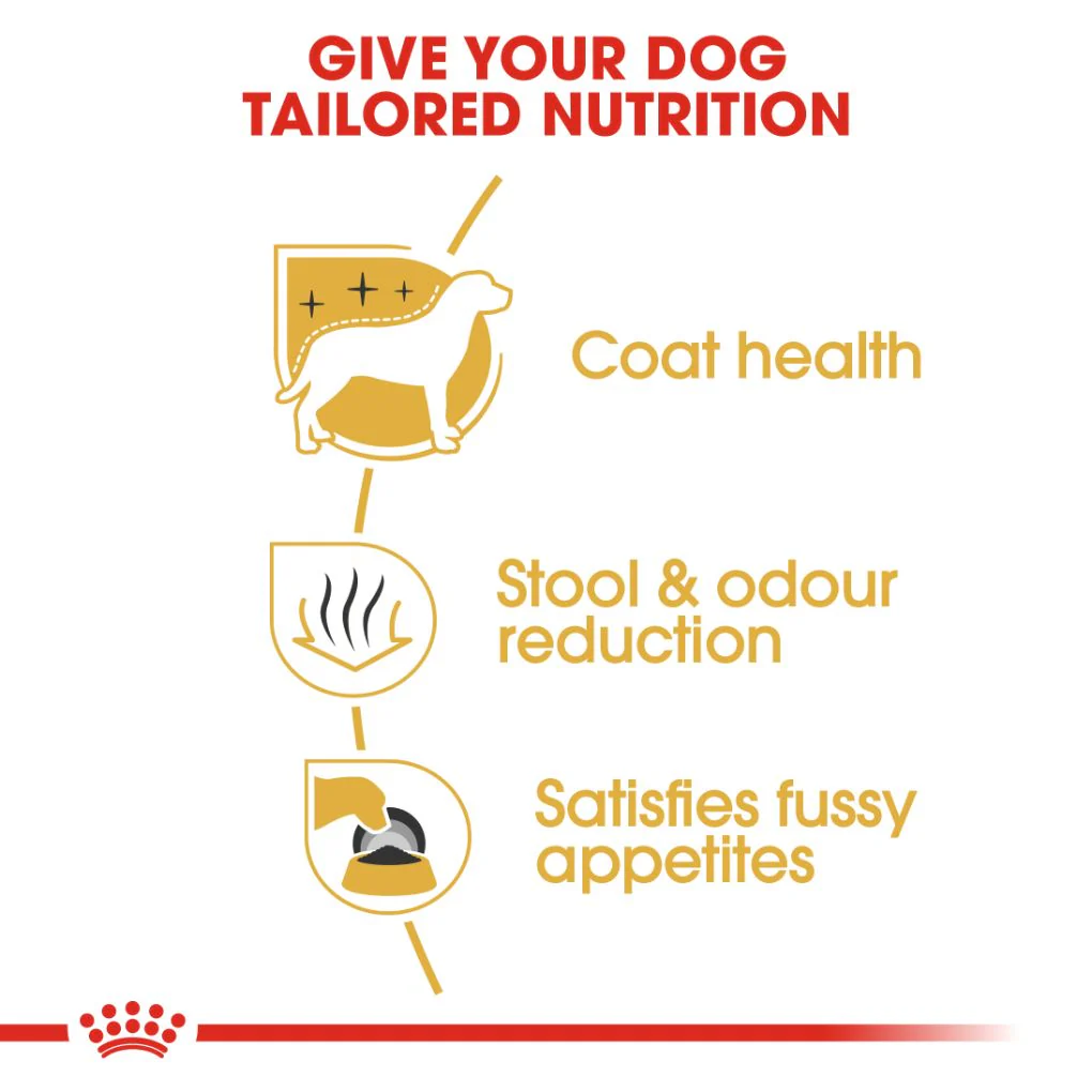 Royal Canin Maltese Adult 1.5kg - Image 2