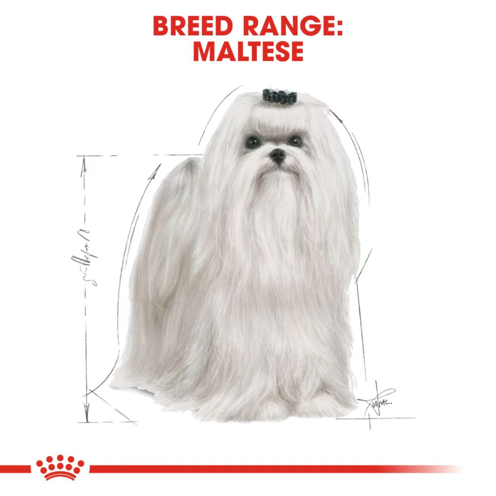Royal Canin Maltese Adult 1.5kg - Image 6