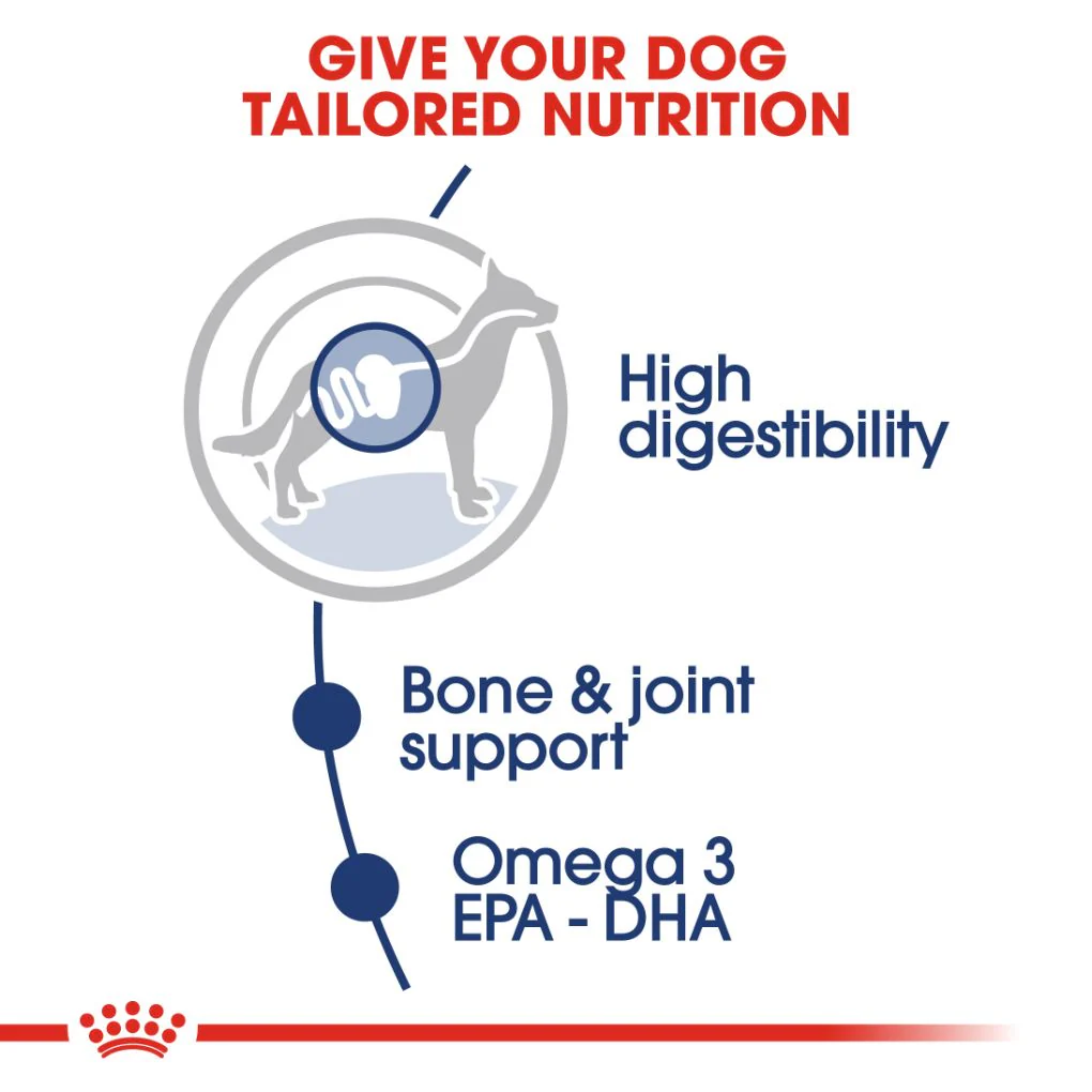 Royal Canin Maxi Adult Pouches - Image 2