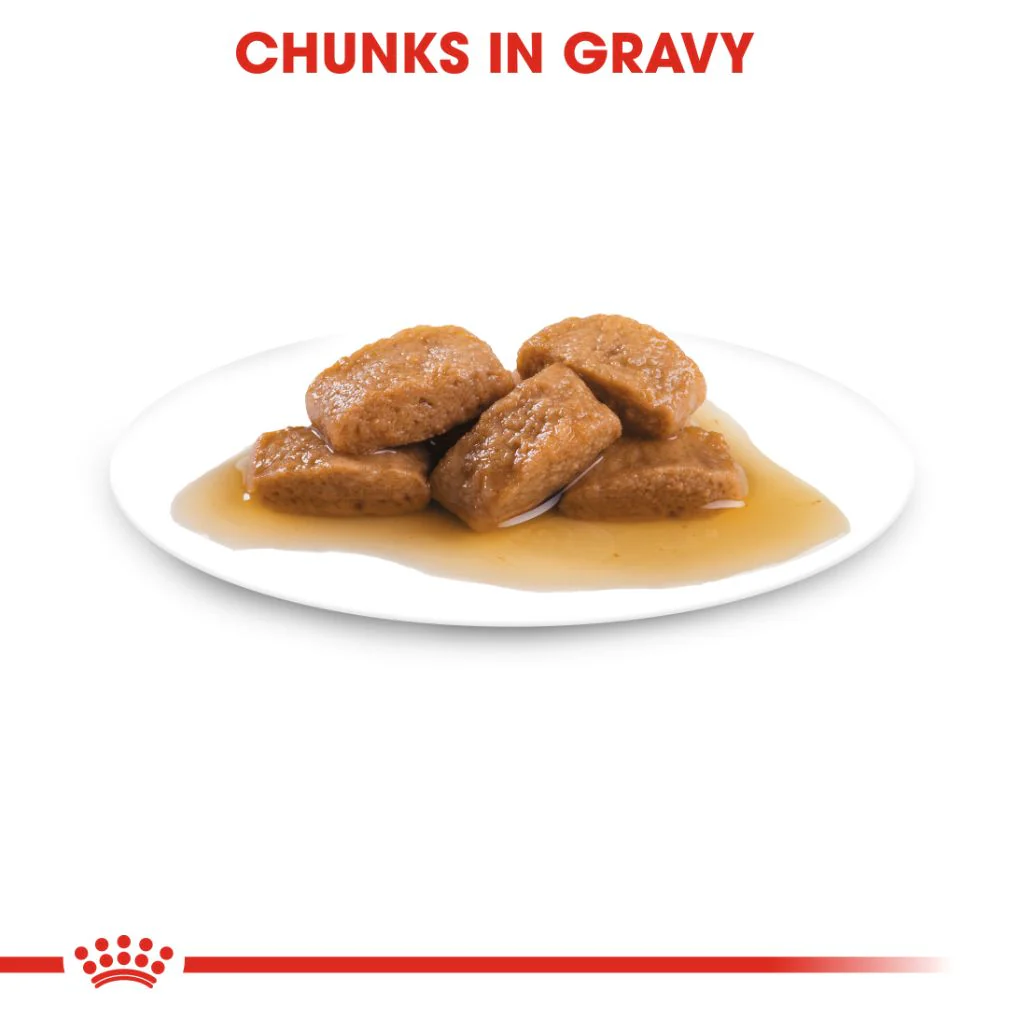 Royal Canin Maxi Adult Pouches - Image 3
