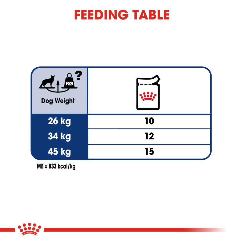 Royal Canin Maxi Adult Pouches - Image 5