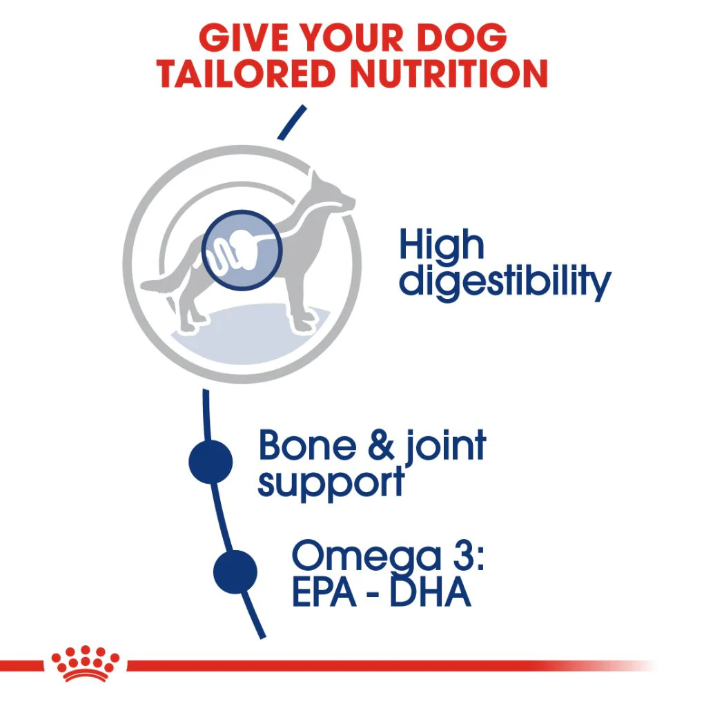 Royal Canin Maxi Adult - Image 2