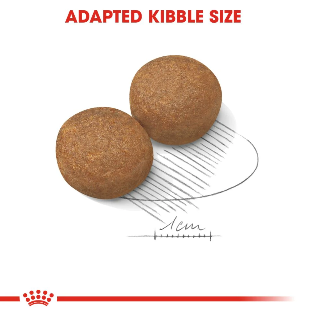 Royal Canin Maxi Adult - Image 3