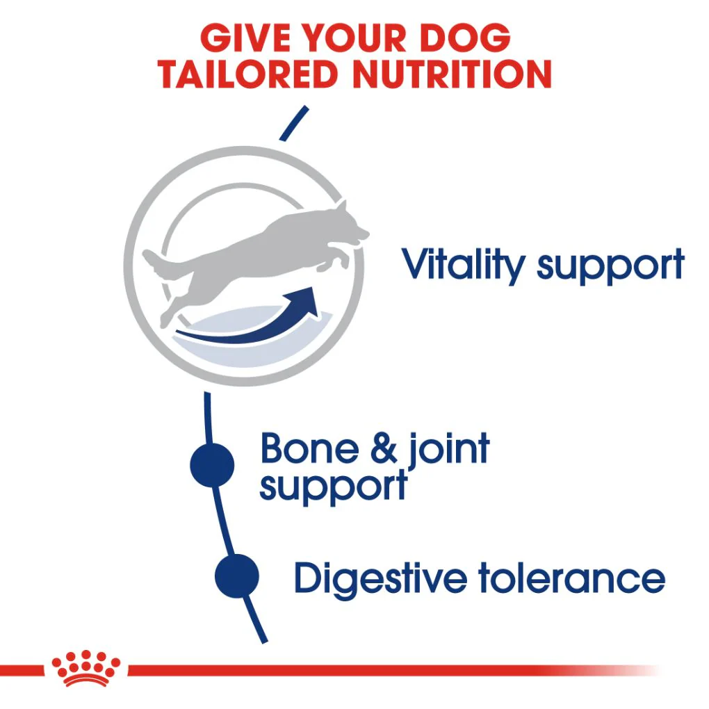 Royal Canin Maxi Adult 5+ 15kg - Image 2