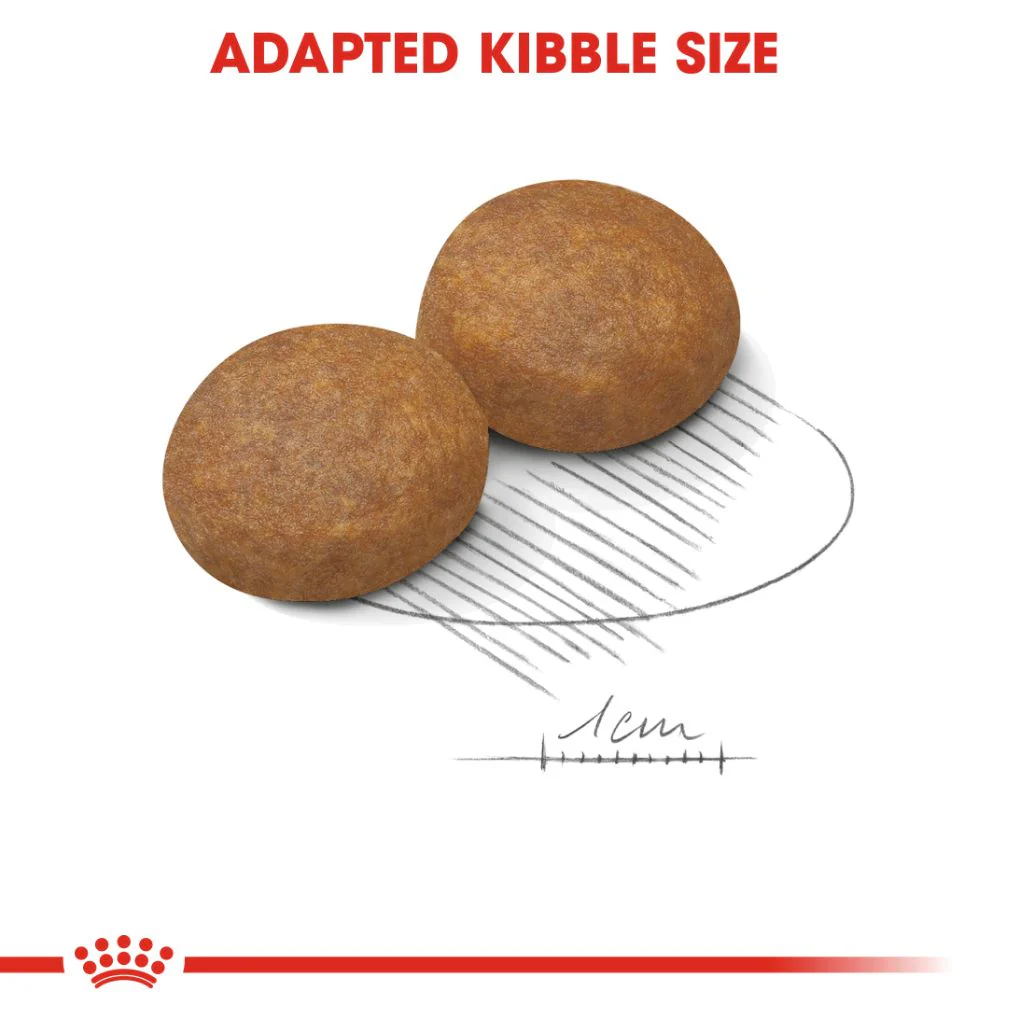 Royal Canin Maxi Adult 5+ 15kg - Image 3