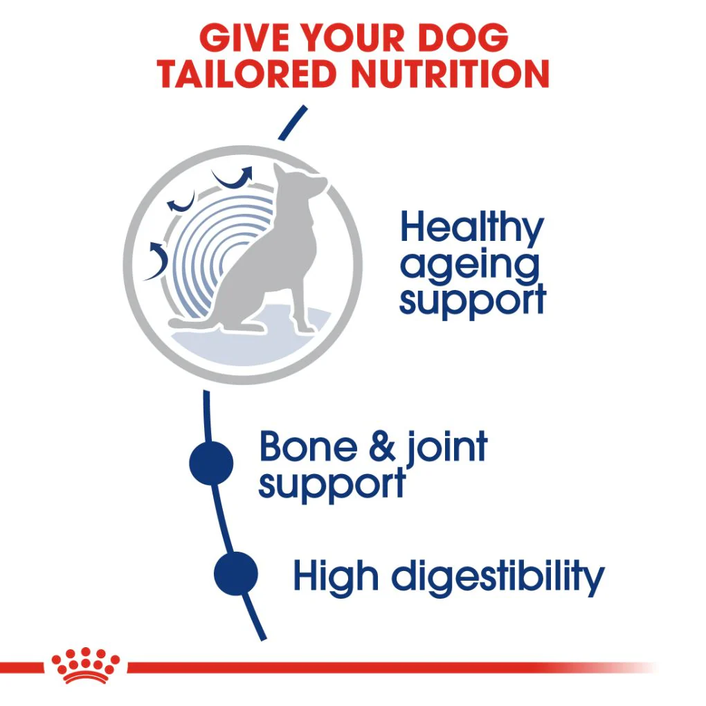 Royal Canin Maxi Ageing 8+ 15kg - Image 2
