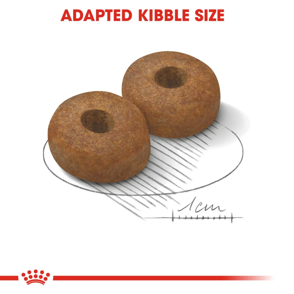Royal Canin Maxi Ageing 8+ 15kg - Image 3