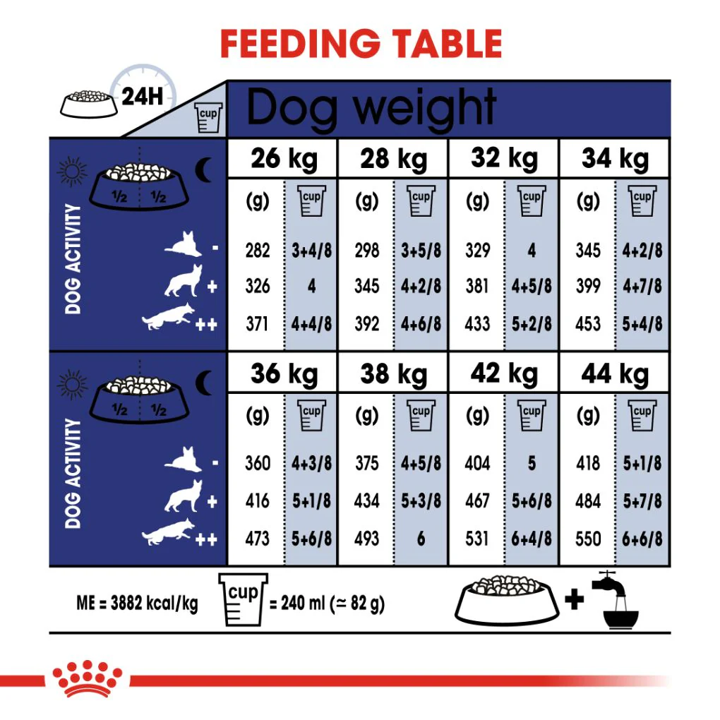 Royal Canin Maxi Ageing 8+ 15kg - Image 4
