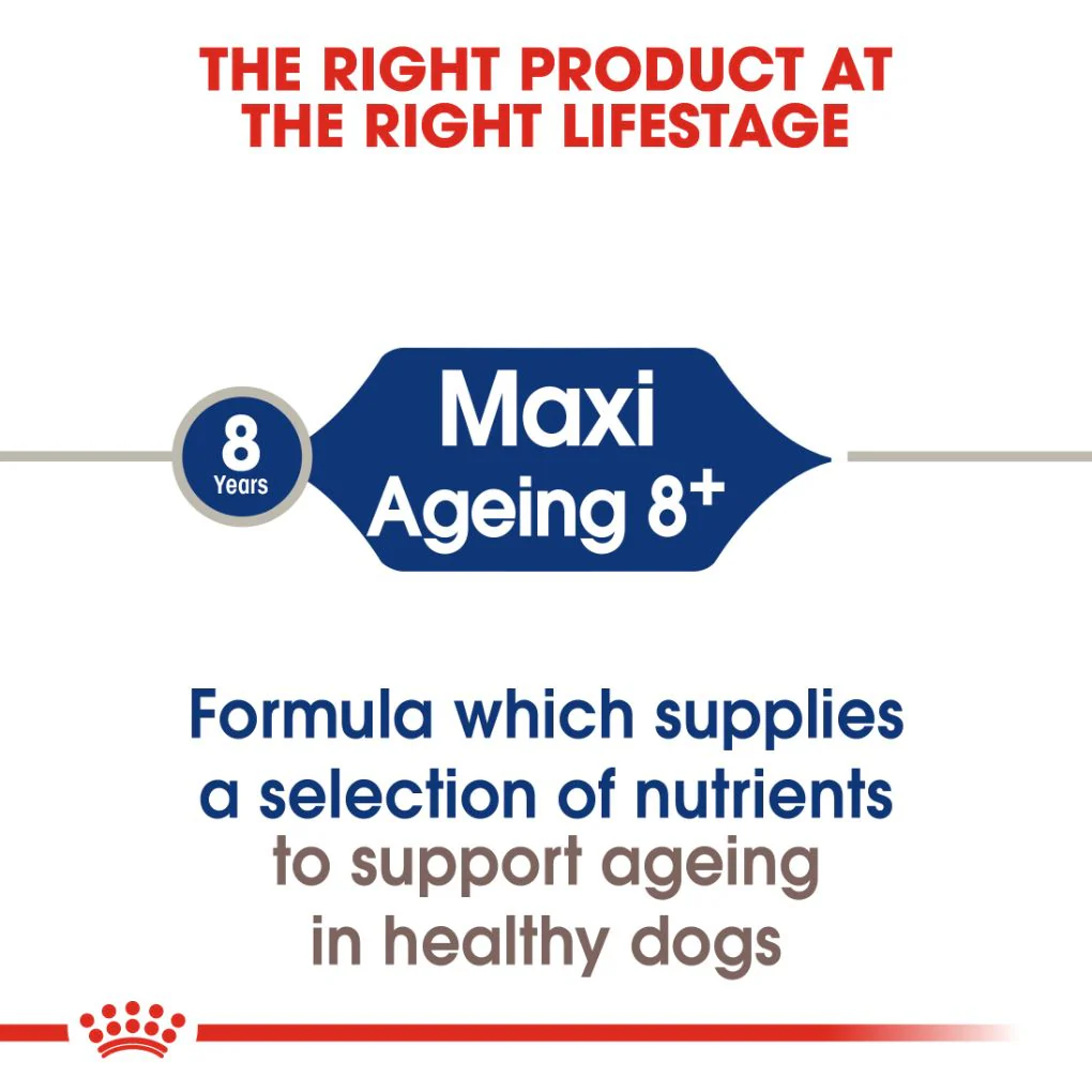 Royal Canin Maxi Ageing 8+ 15kg - Image 6