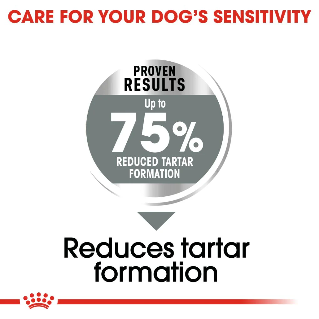 Royal Canin Maxi Dental Care 9kg - Image 2