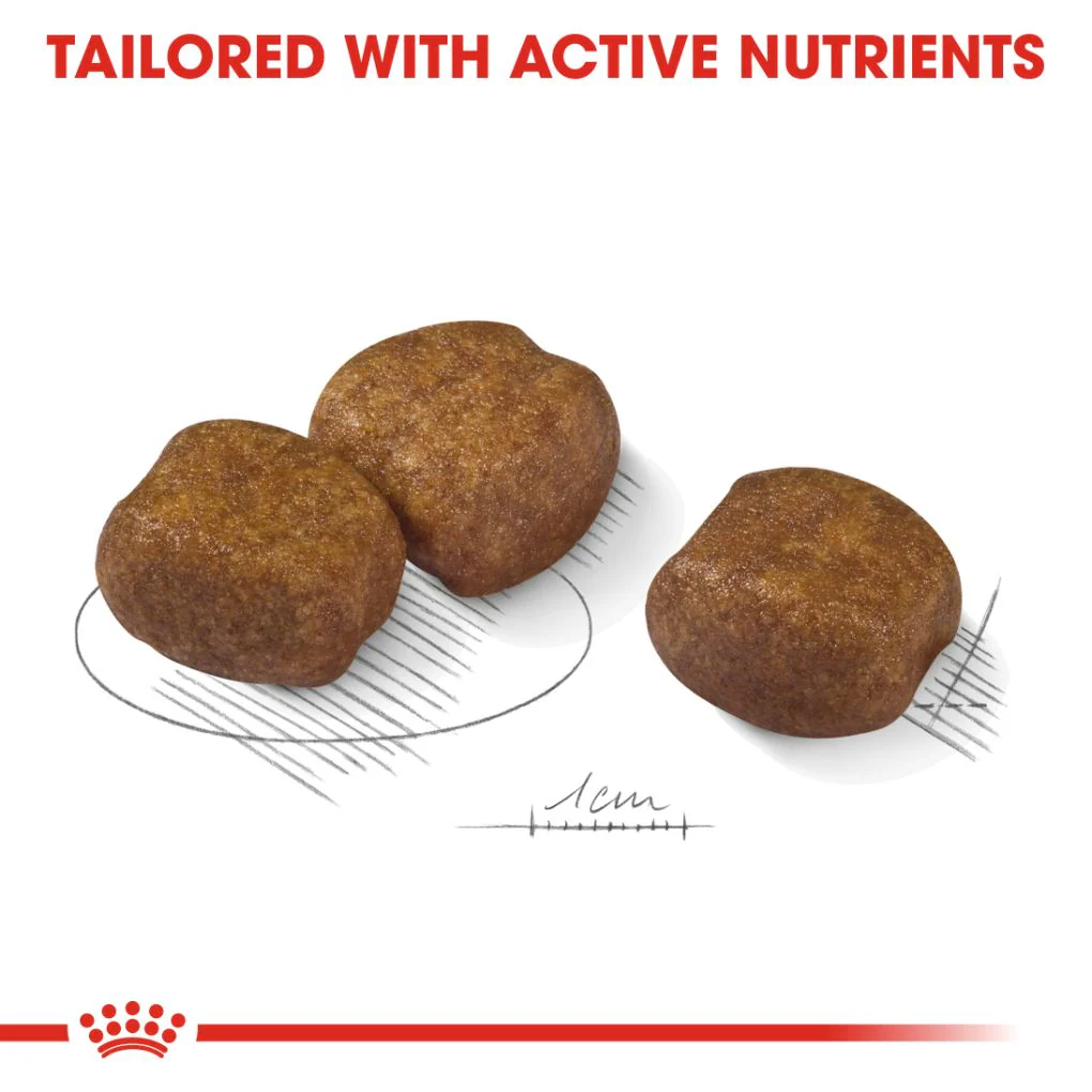 Royal Canin Maxi Dental Care 9kg - Image 3