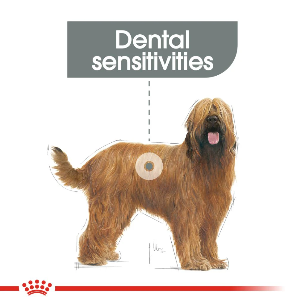 Royal Canin Maxi Dental Care 9kg - Image 6