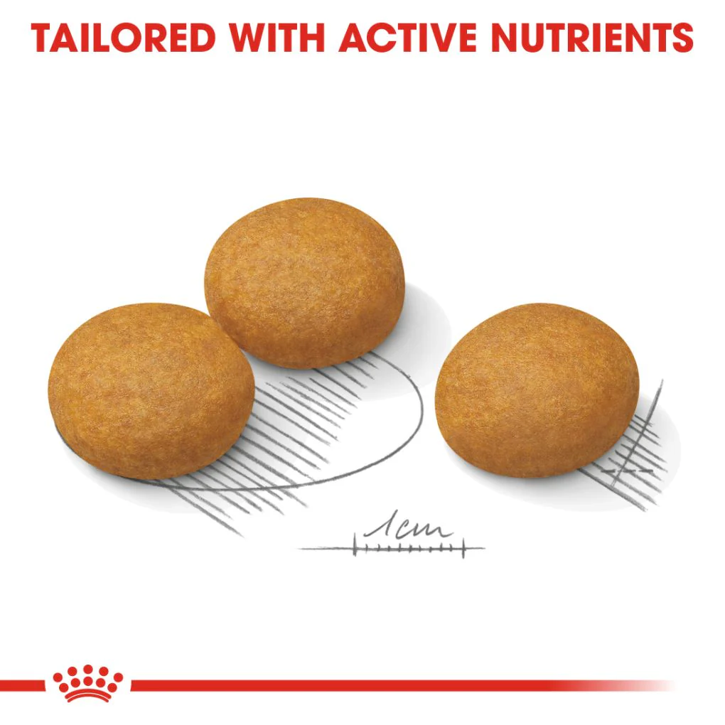 Royal Canin Maxi Dermacomfort 12kg - Image 3