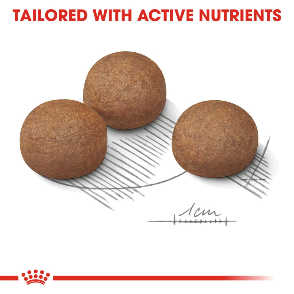 Royal Canin Maxi Digestive Care 12kg - Image 3
