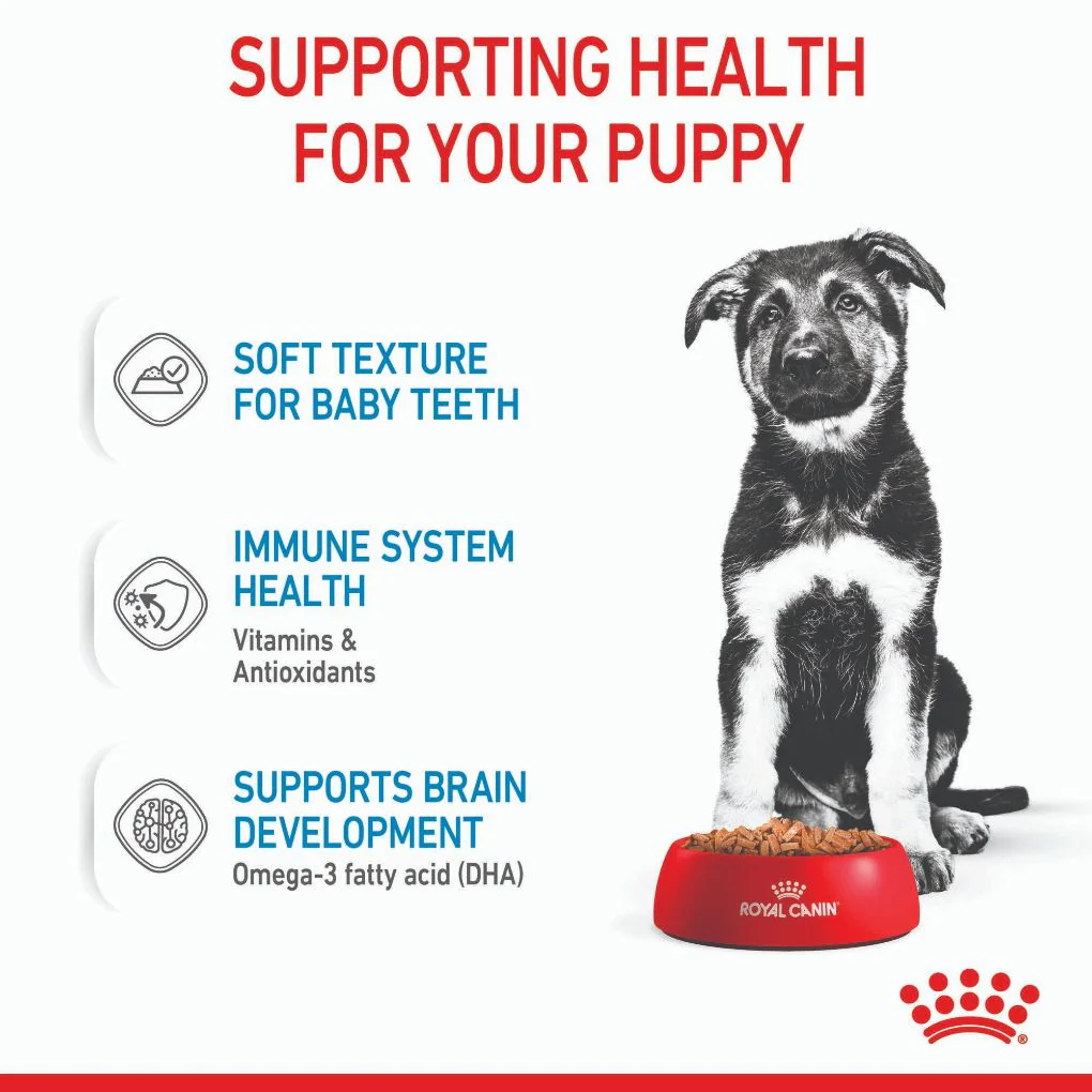 Royal Canin Maxi Puppy Pouches - Image 3