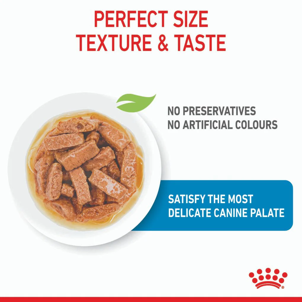 Royal Canin Maxi Puppy Pouches - Image 4