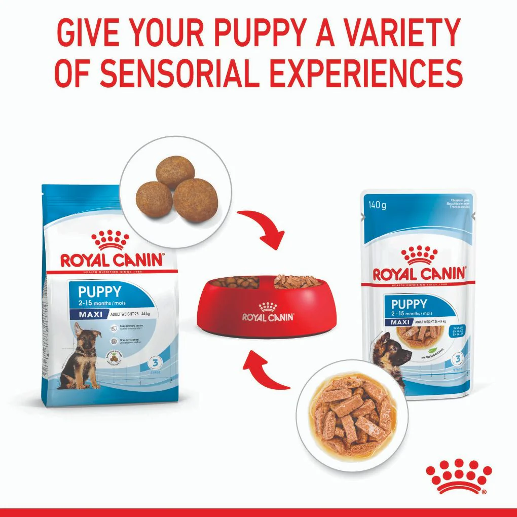 Royal Canin Maxi Puppy Pouches - Image 5