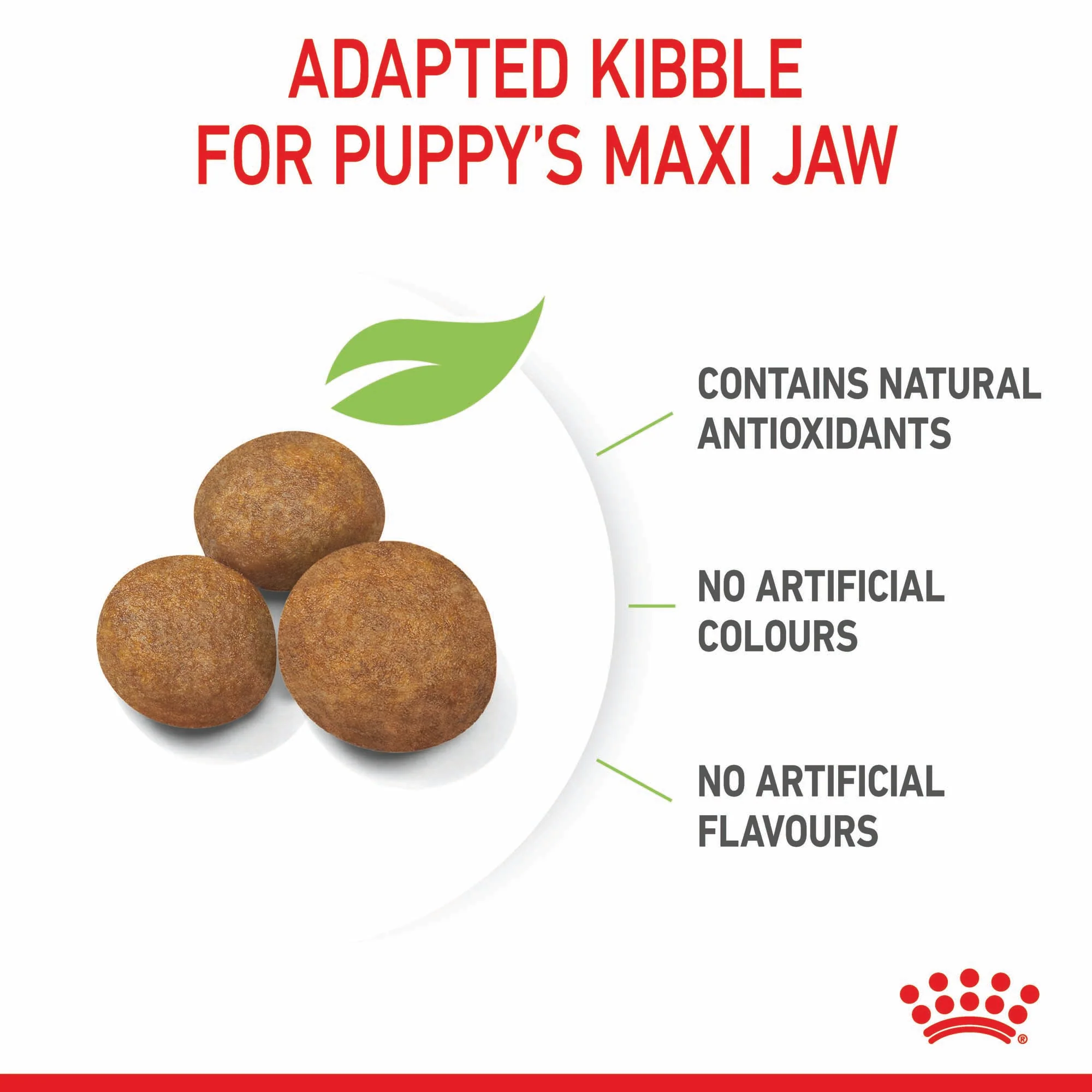 Royal Canin Maxi Puppy - Image 4