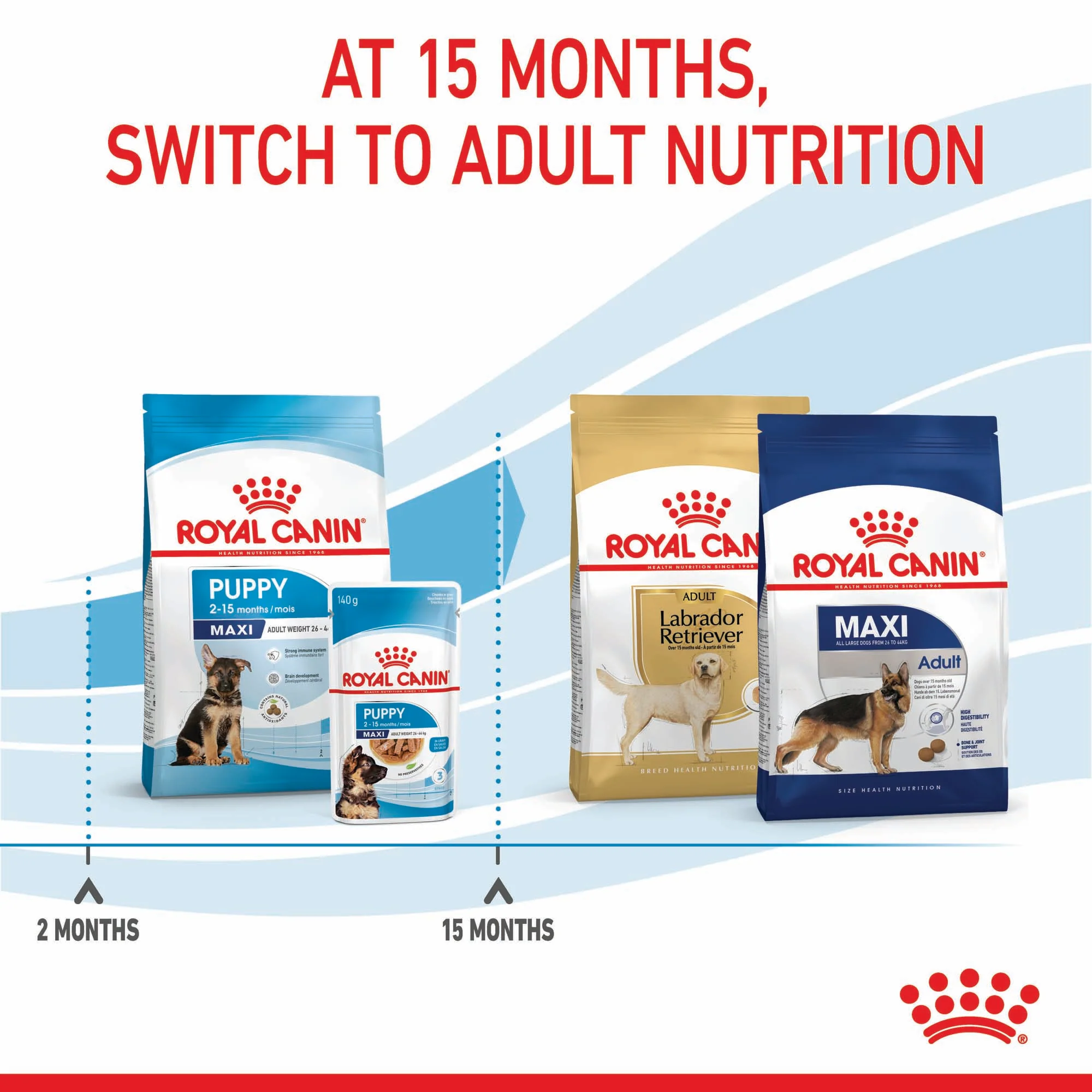 Royal Canin Maxi Puppy - Image 9