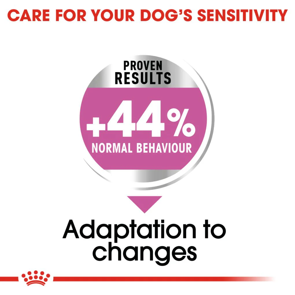 Royal Canin Maxi Relax Care - Image 2
