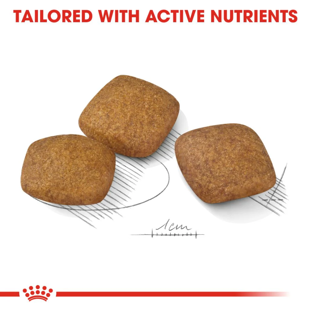 Royal Canin Maxi Relax Care - Image 3