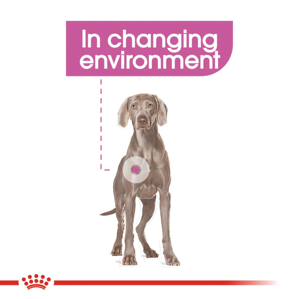 Royal Canin Maxi Relax Care - Image 6