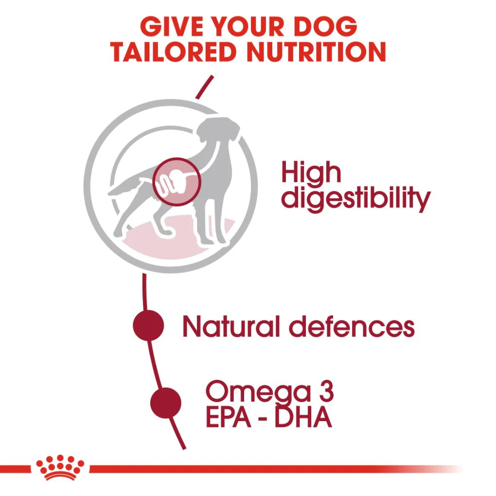 Royal Canin Medium Adult Pouches - Image 2
