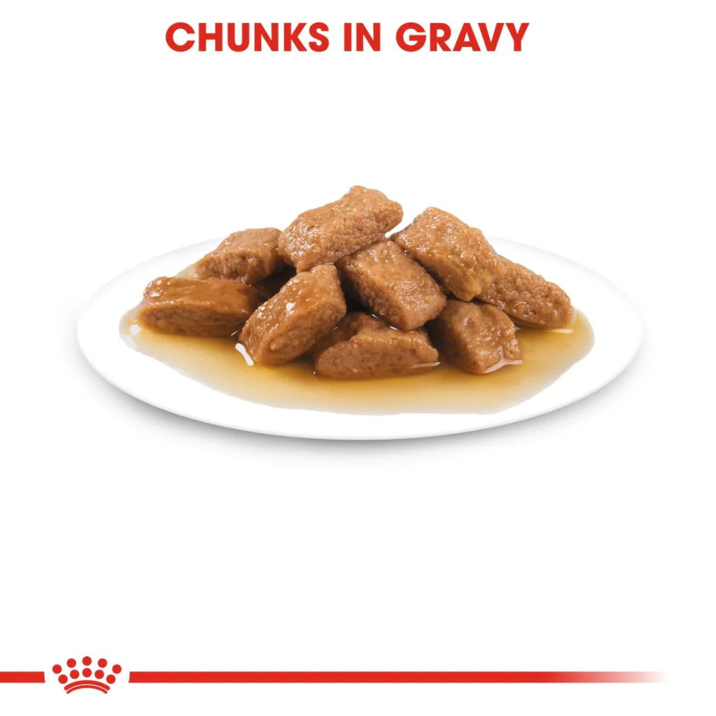 Royal Canin Medium Adult Pouches - Image 3