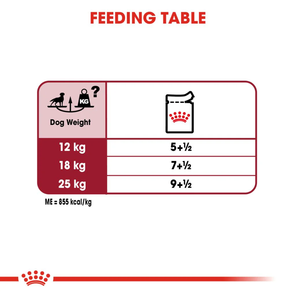 Royal Canin Medium Adult Pouches - Image 5