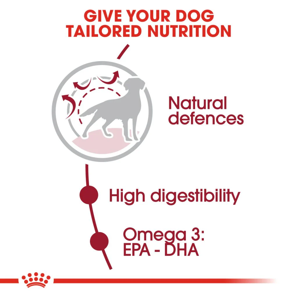 Royal Canin Medium Adult - Image 2