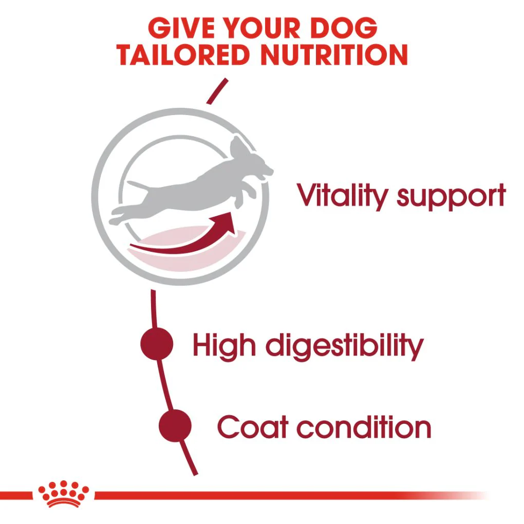 Royal Canin Medium Adult 7+ 15kg - Image 2