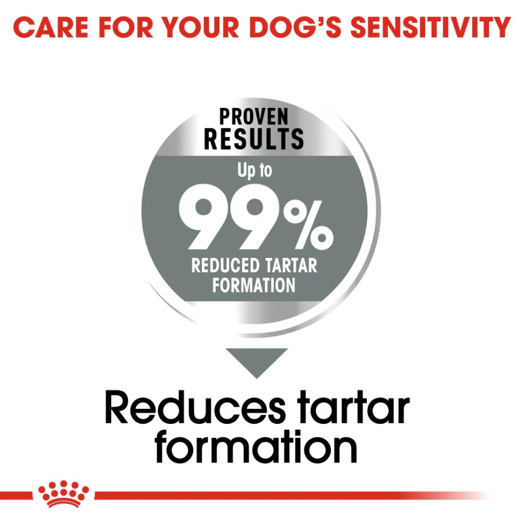 Royal Canin Medium Dental Care - Image 2